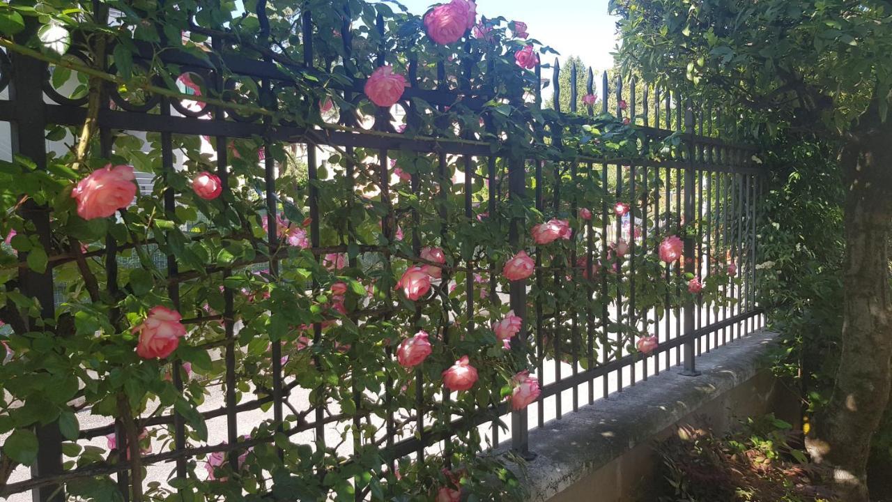 Appartamento Modenese 8 Peschiera del Garda Buitenkant foto