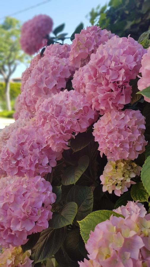 Appartamento Modenese 8 Peschiera del Garda Buitenkant foto